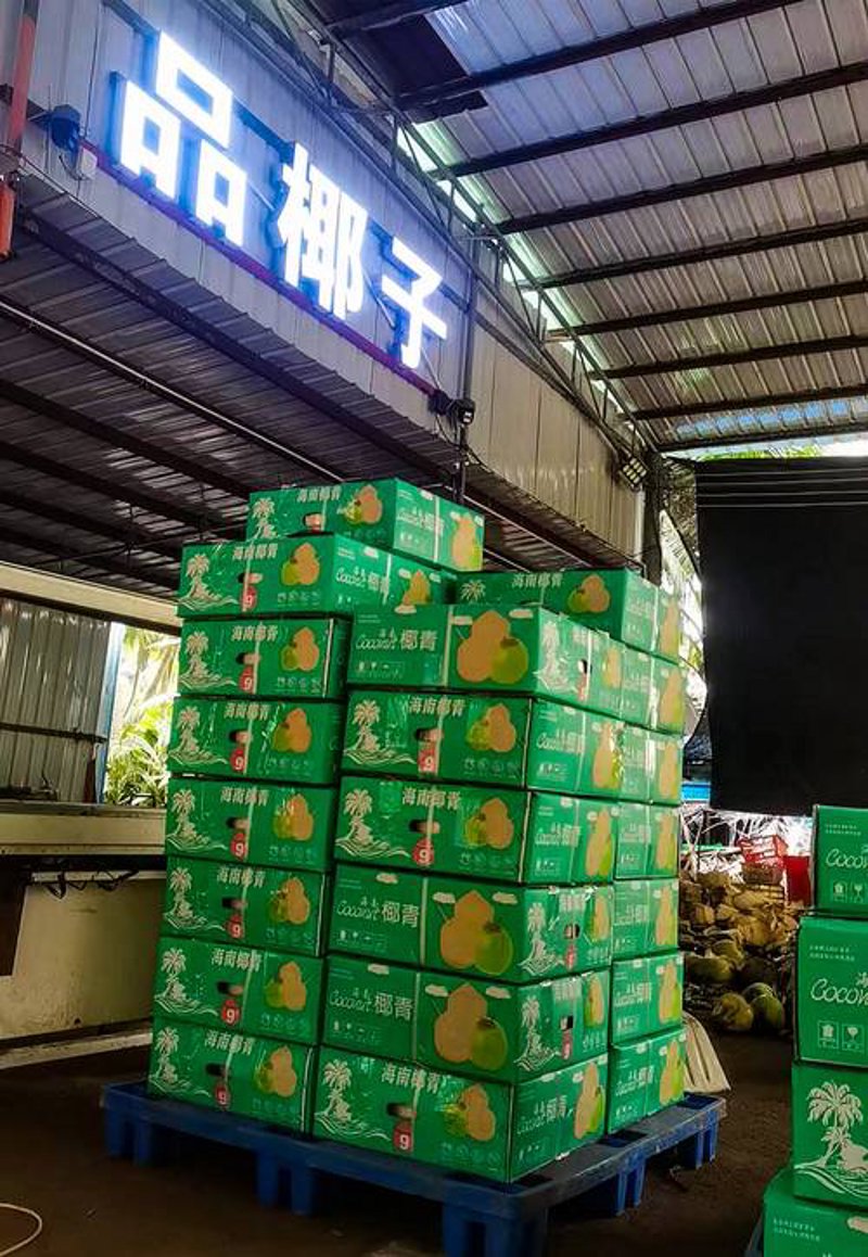 海口商贸公司的现状与发展趋势